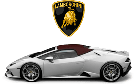 Drive a Lamborghini