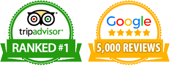 Trip Advisor