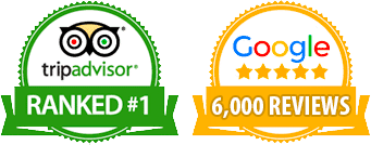 Trip Advisor